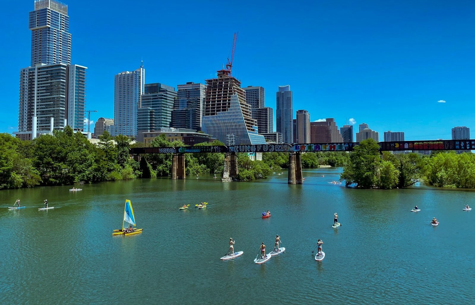 white swan on water near high rise buildings during daytime