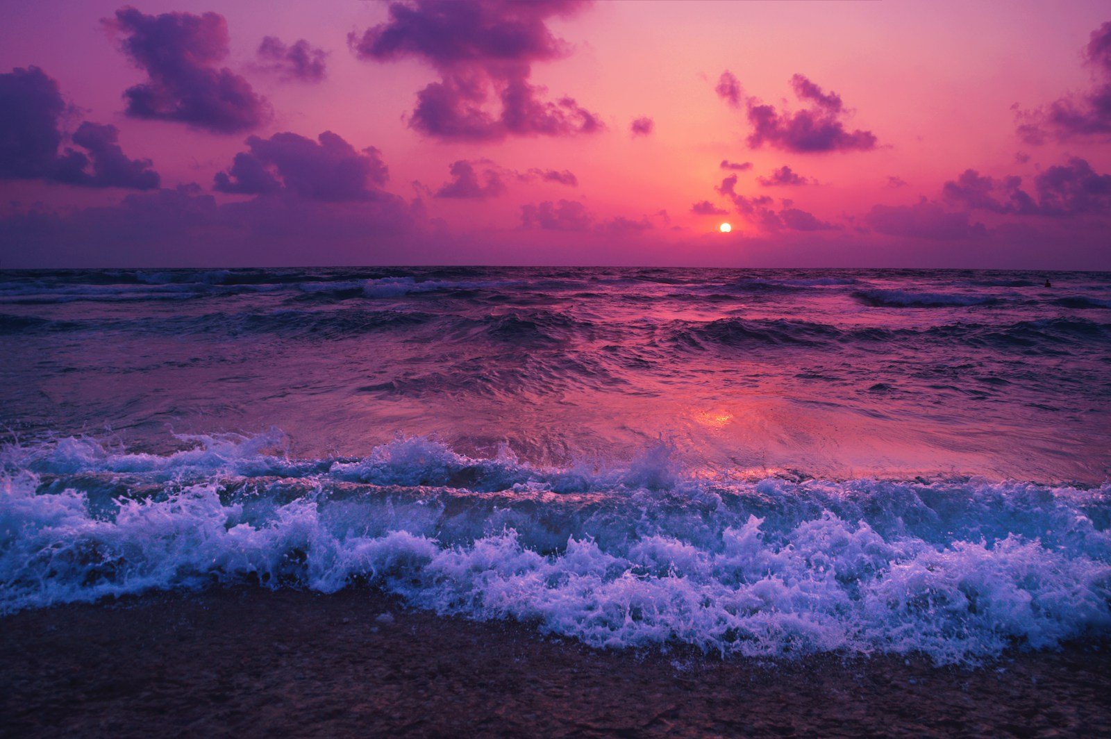 Bioluminescent Bay Travel Guide seashore