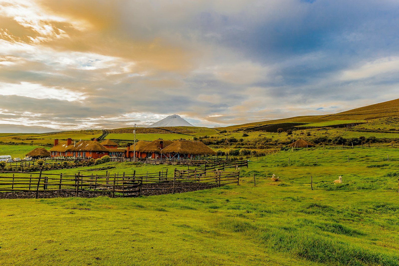 South America Tour Travel Guide brown wooden fence on green grass field under blue sky during daytime