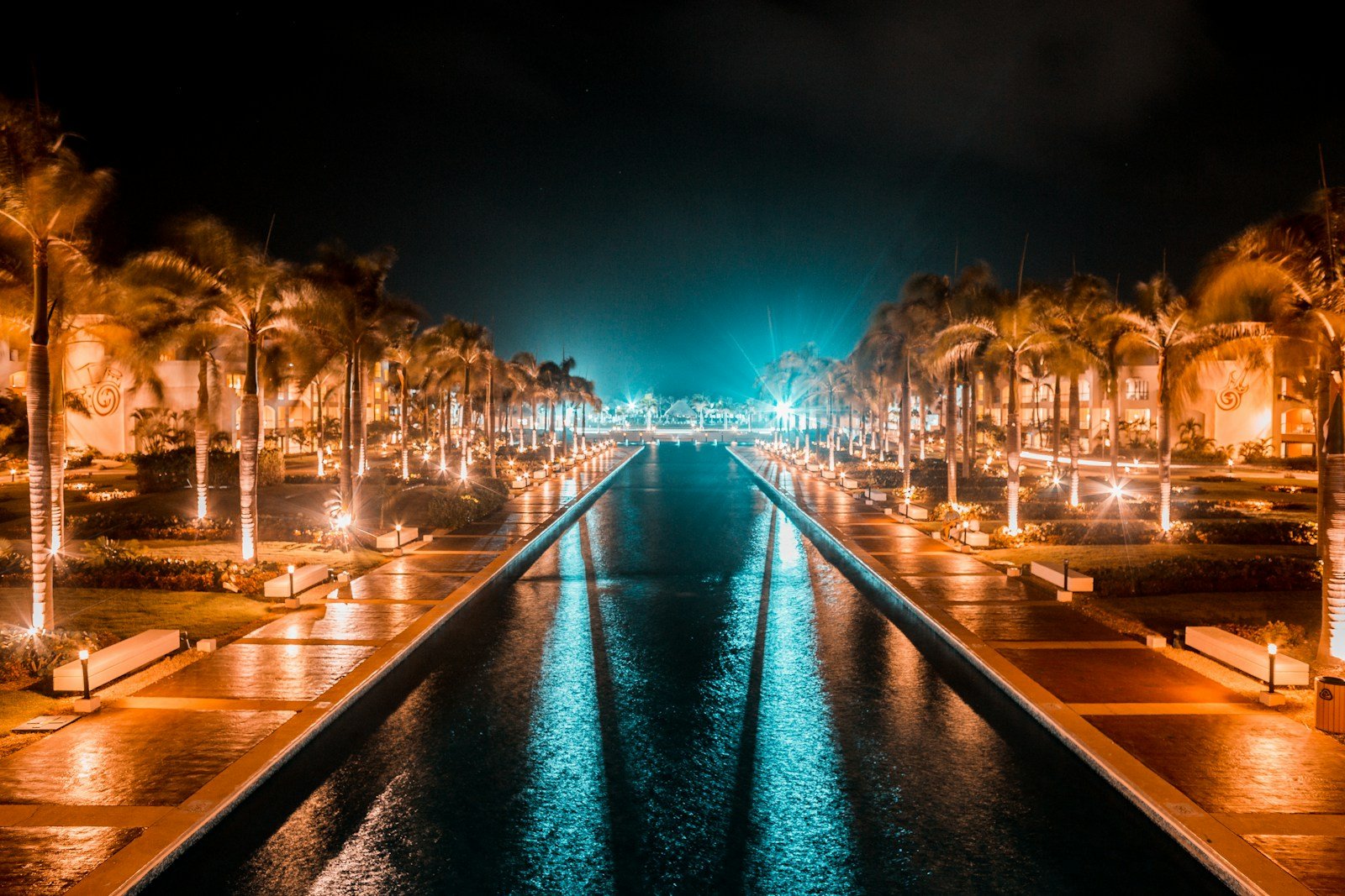 punta cana a view of a waterway at night with palm trees