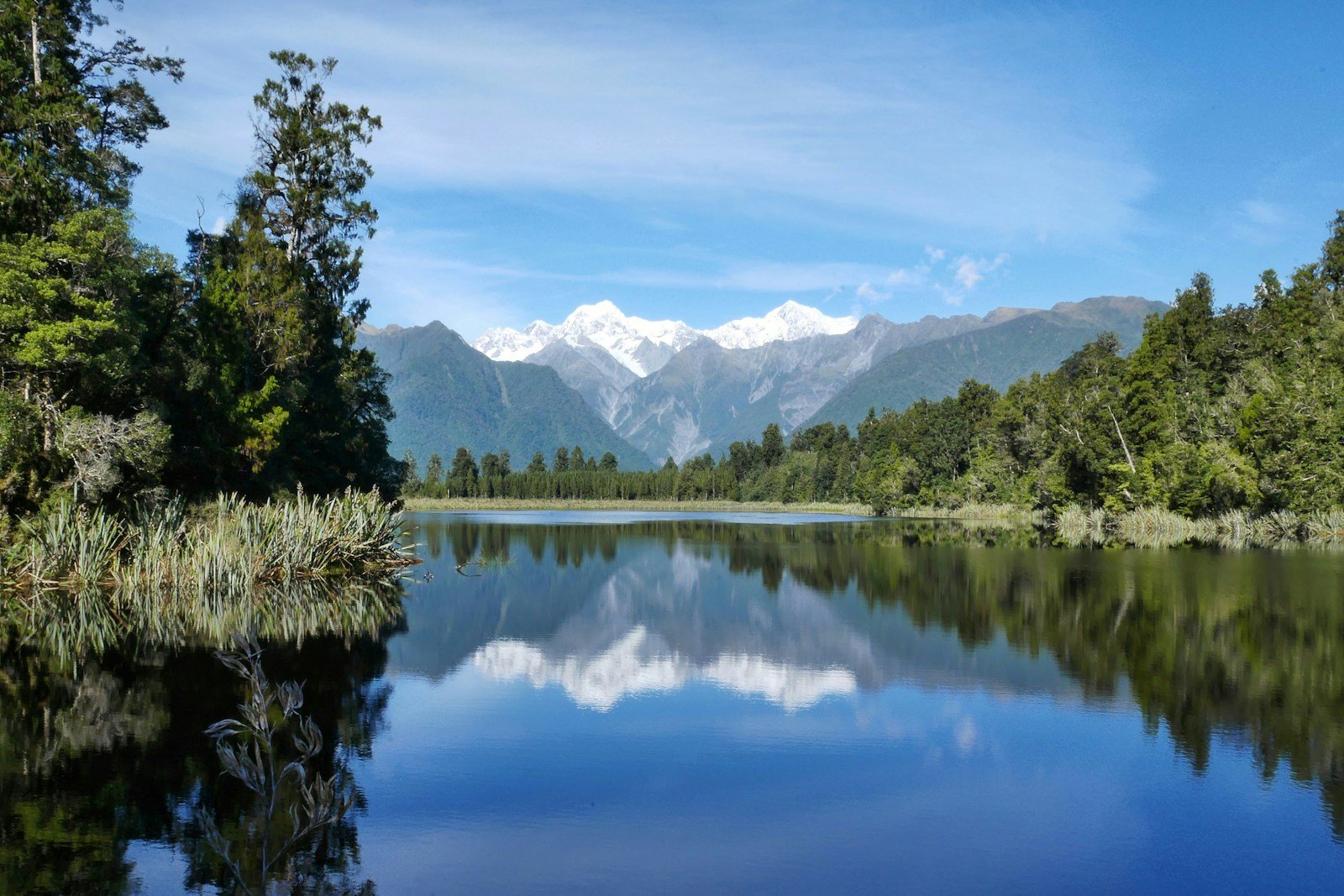 new zealand travel guide green leaf trees near body of water taken at daytim
