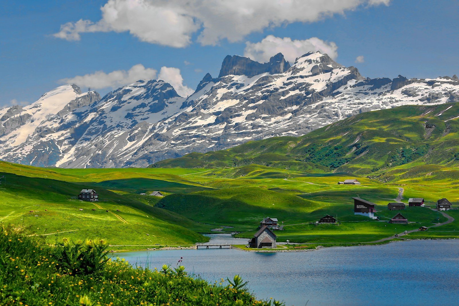 Switzerland Travel Guide mountain and houses