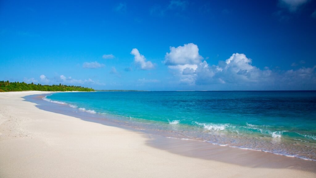 Bikini Atol, Marshall Islands beach under white and blue cloudy sky during daytime