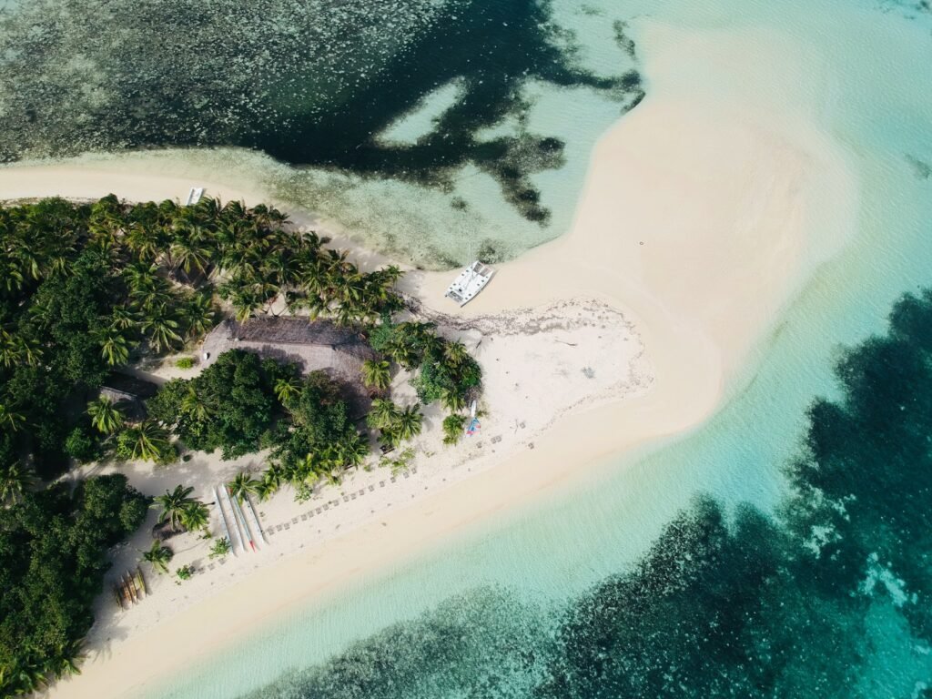 Leleuvia Island, Fiji aerial view of green trees beside body of water during daytime