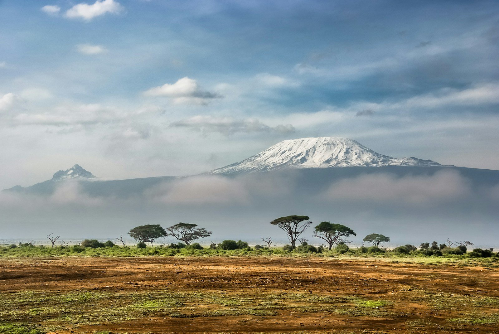 kenya travel guide green leaf tree near mountain covered by snow at daytime