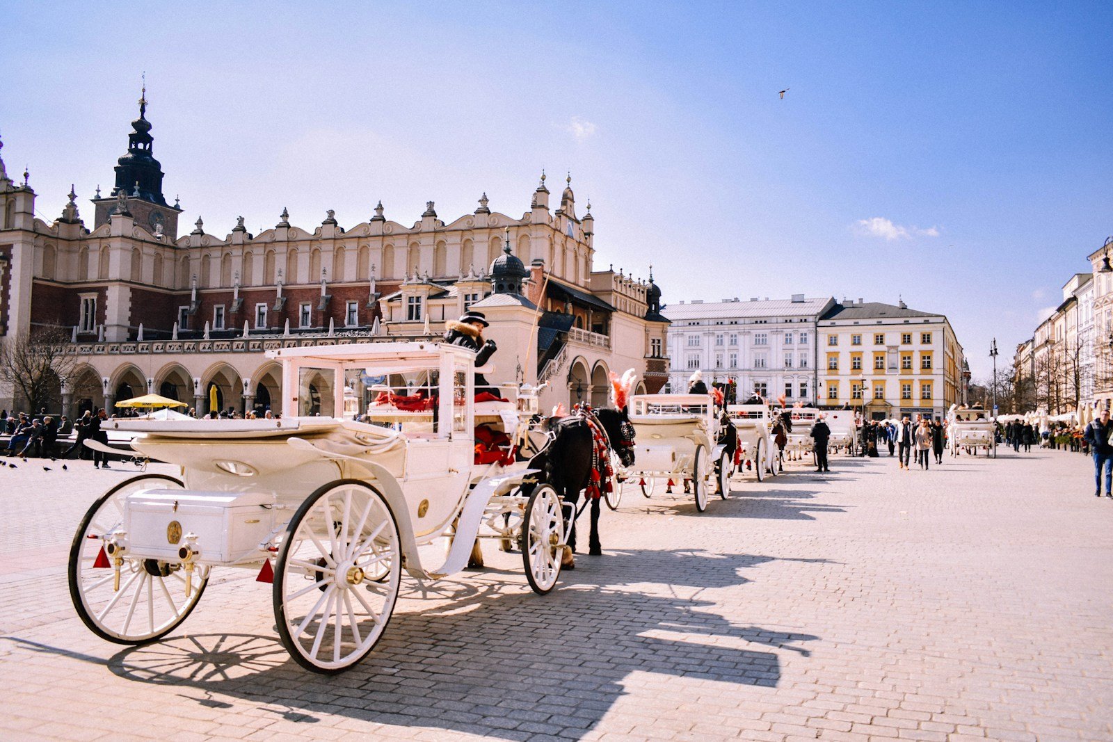 poland travel guide black horses