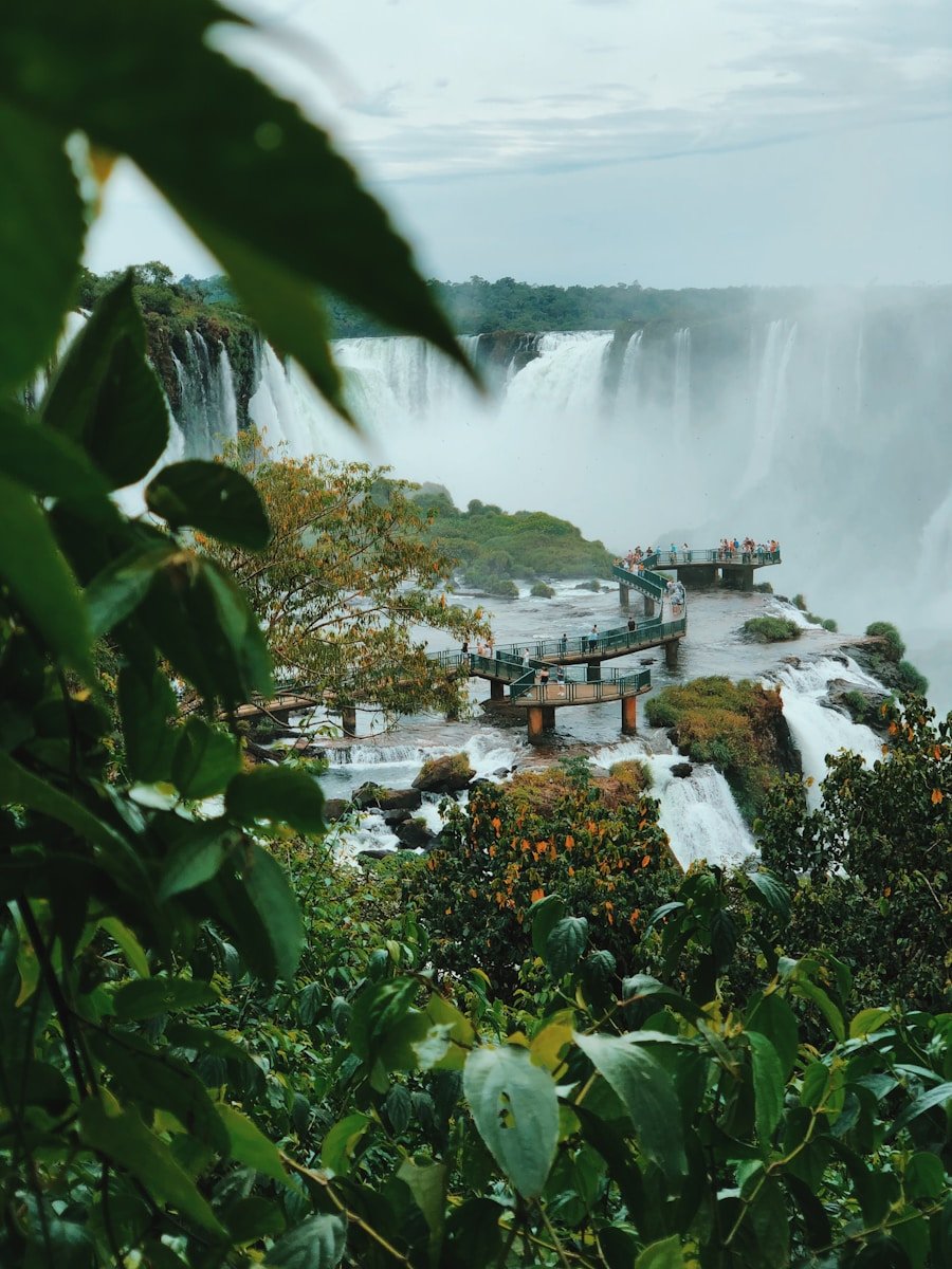 SOUTH AMERICA TOUR TRAVEL GUIDE green plants near body of water during daytime