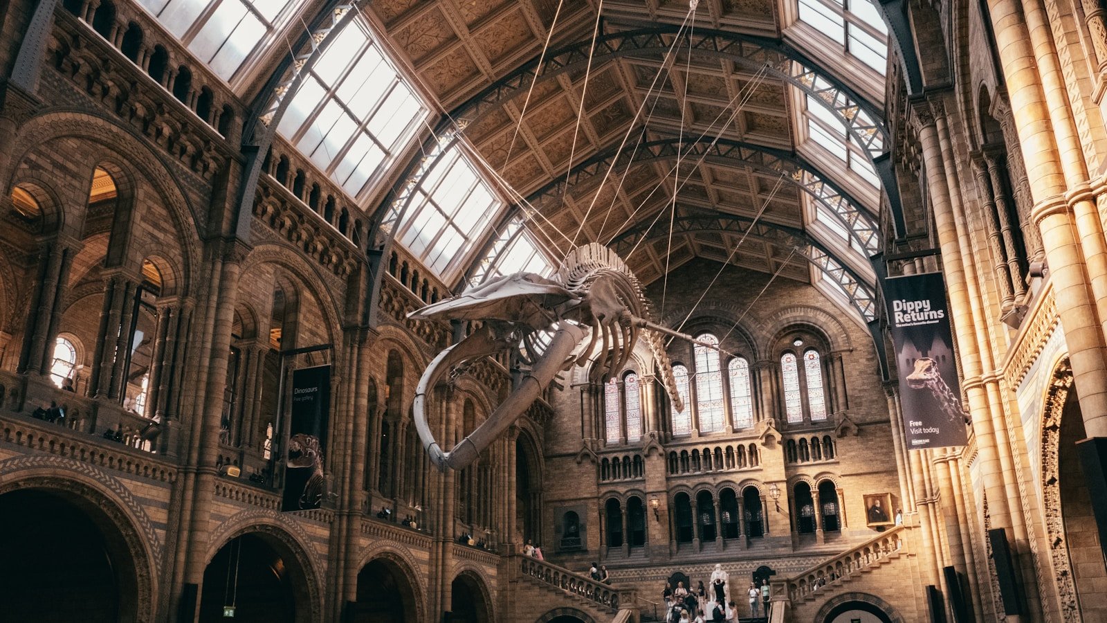 London Natural History Museum a large building with a skeleton in the middle