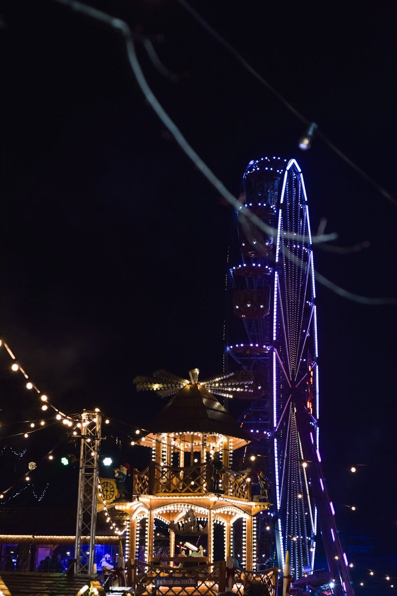 BIG BUS TOURS A ferris wheel is lit up at night