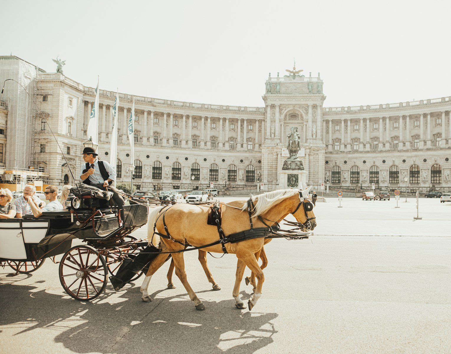 vienna travel guide man riding horse carriage on road during daytime