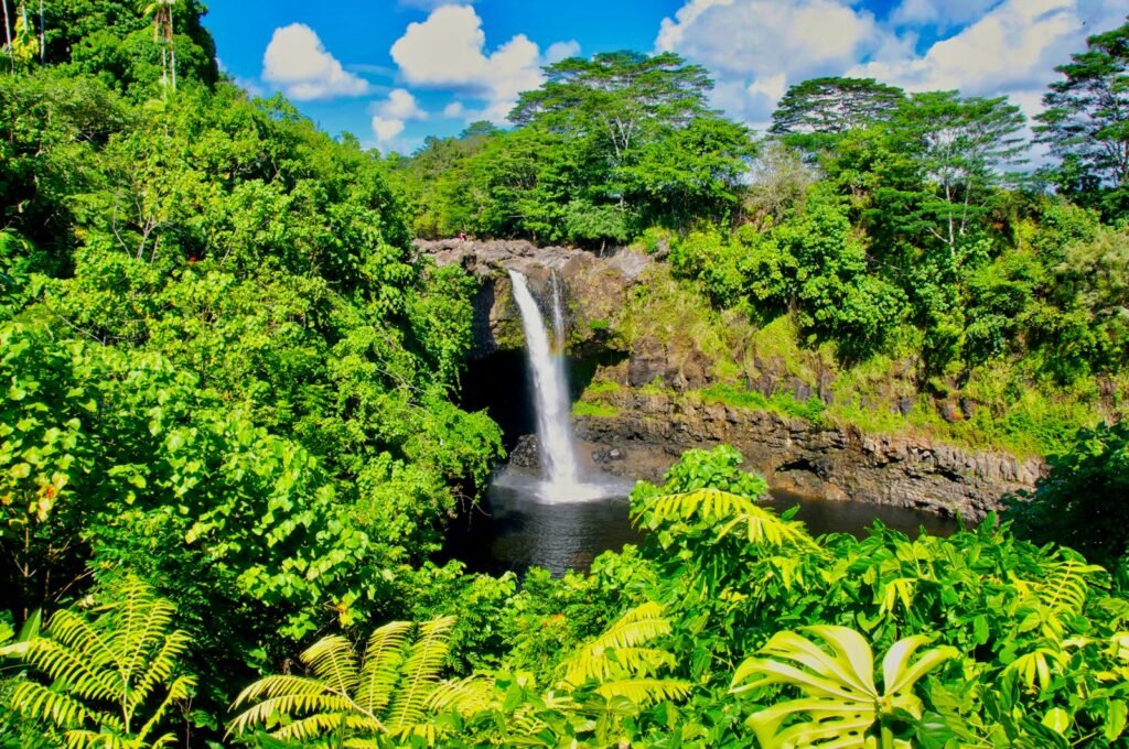 Big Island, Hawaii, USA
a waterfall in a forest
