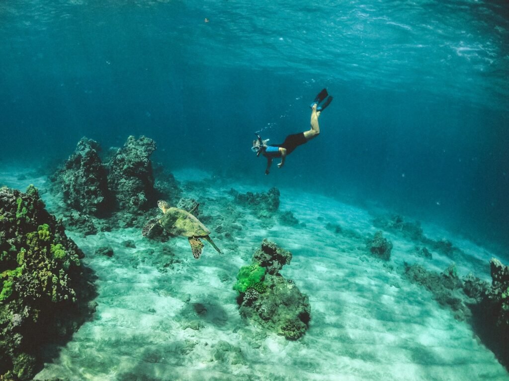 Maui, Hawaii, USA
man in blue shorts diving on water