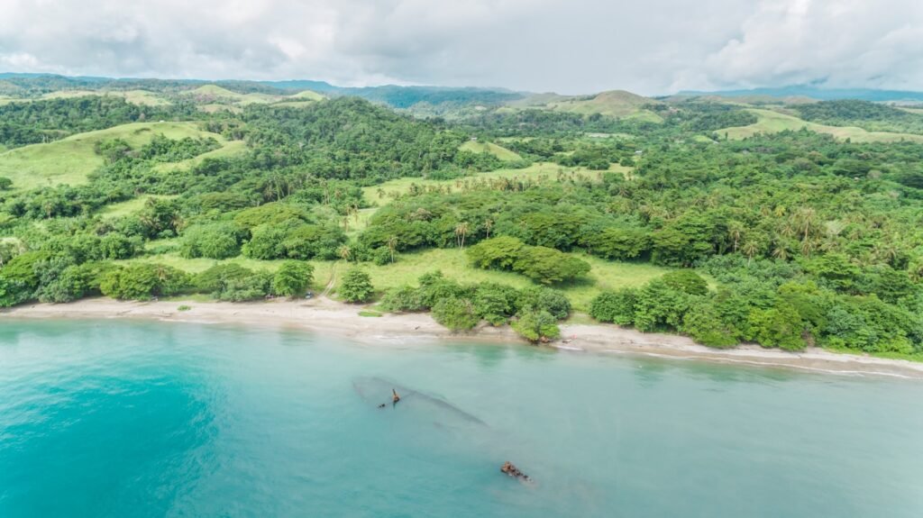 Guadalcanal Province, Solomon Islands
green trees and body of water during daytime