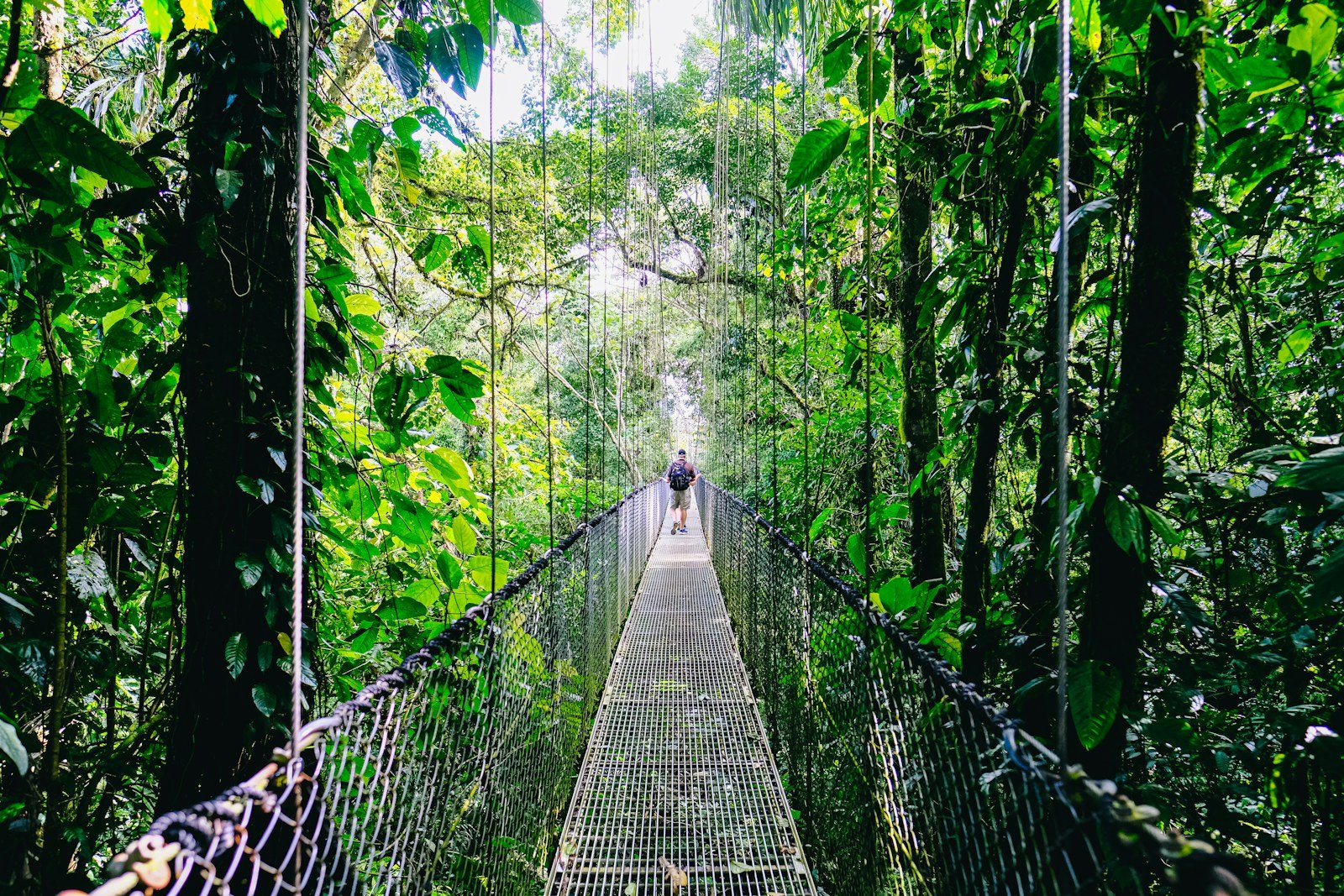 costa rica travel guide person walking on hanging bridge surrounded by green trees during daytime