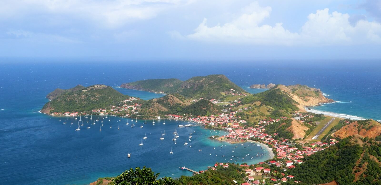 Guadeloupe tours aerial view of green trees and body of water during daytime